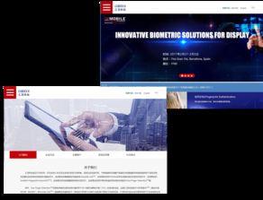 汇顶科技最新爆料解读,揭秘芯片行业新动态与技术创新  第2张